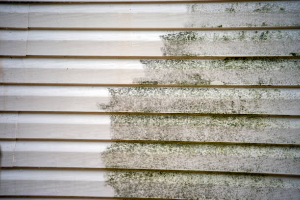 Best Dumpster Rental Services  in Livingston, AL